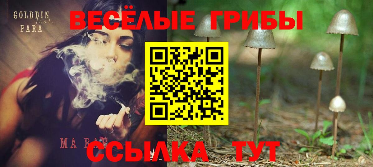 Магнитогорск  Псилоцибиновые грибы мухоморы  Вход с VPN  Галлюциногенные грибы MAGIC MUSHROOMS 